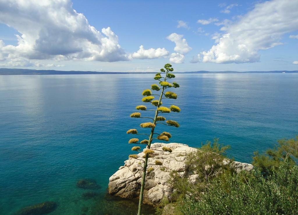 Apartment Epetij Split Dış mekan fotoğraf
